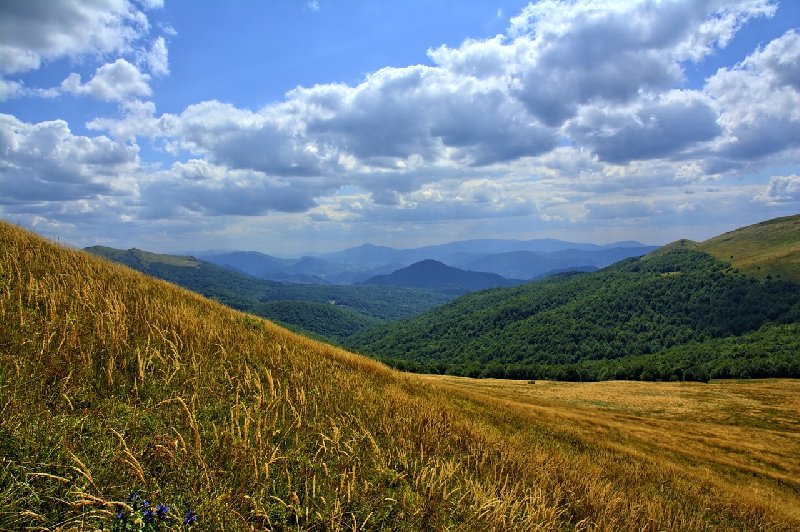 Wyjazd w Bieszczady